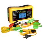 Battery Saver Premium 6 & 12 Volt 25W Pulse Charger, Maintainer & Tester (Gen. 3)