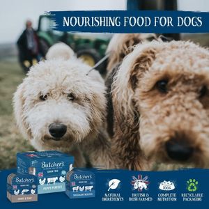 Butcher's Jelly Dog Food, 24 x 400g Cans – Complete Wet Food