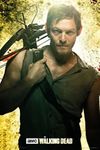 Walking Dead - Daryl Dixon 24x36 Poster Tv Art Print Norman Reedus