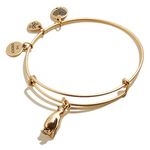 Alex and Ani Animal Guide Expandable Bangle for Women, One Size, Brass