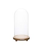 Labzio Home - Decorative Clear Borosilicate 3.3 Glass Bell Jar, Display Case- Round Lacquered Wood Base with Small Wooden Feet / Centre Piece, Tabletop Display- Large, 7 by 13 Inch