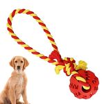 Cature Dog Rope Chew Toy Natural Rubber Interactive Dog Toy Ball with String - Puppy Toy Ball Set, Chew Toy for Dogs,Slingshot Balls for Dogs, Throwing Ball for Dogs with Rope(Red)