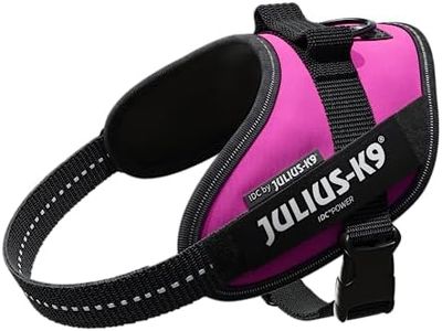 Julius-K9,