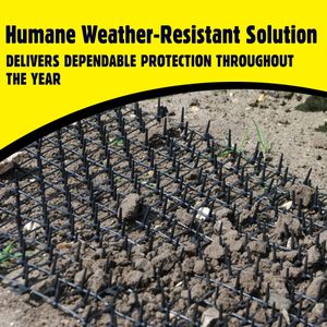 Big Cheese Prickle Strip 2m – Garden Fence Security Deterrent