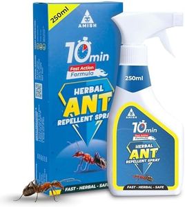 Amish Ant 