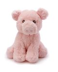 Deluxe Paws Your Planet Soft Cuddly Eco Plush Toy 15cm (Pig)