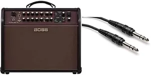Boss Acoustic Singer Pro 120-Watt B