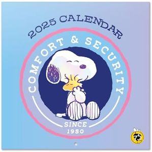 Grupo Erik Calendar 2025 Wall Calendar 2025 Snoopy Calendar 2025 Family Planner 30 x 30 cm Annual Calendar 12 Months - Official Snoopy Fan Item