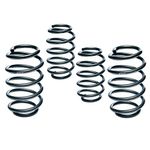 Eibach E10-20-031-04-22 Performance Pro-Kit Springs