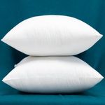 Warmwithann Throw Pillow Inserts, Set of 2 Down Alternative Decorative Pillow Cushion, 26 x 26 Inches