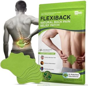 FlexiBack Warming Herbal Back Pain Patches with 12-Hour Extra Strength & Adhesion - Bone-on-Bone, Spinal Joint Inflammation & Muscle Strain Support - 12 Heat Patches for Lower Back Pain Relief