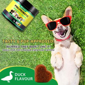 Dog Probiotics Chews – 120 Count Digestive Supplement for Pets