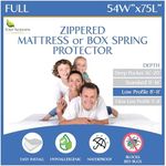 Full Size Mattress or Box Spring En