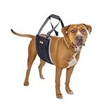 Mighty Paw Dog Lift Harness - 20-60 lbs Dog Hip and Hind Leg Support Sling - Dog Support Harness for Back Legs - Comfortably Supports Elderly Dogs with Hip and ACL Brace - Injury Support Harness - Med