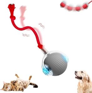 Interactive Cat Ball Toy, New Agility Move Cat Balls, Automatic Cat Ball Toys with Cord Imitation Mouse, Smart Self Rolling Interactive Cat Dog Ball for Dog/Cat (Gray-Red)