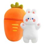 Hug N Feel Rabbit A Huggable Carrot Rabbit Adventure The Perfect Birthday Surprise for Child (Size 30cm)