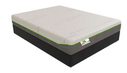 ECO (Dream Green) 8" - 100% Organic Latex Mattress (Single XL 38.5"x 79.5", 6" Firm 2" Firm)