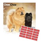 Chow Chow Calendar 2025 | 16 months | September 2024 to December 2025 | With FREE Organisational Stickers