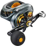 Piscifun Alijoz 400 Baitcaster Fish