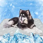 MH MYLUNE HOME Self Cooling Mat for
