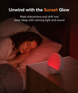 Dreamegg Sunrise Alarm Clock – Wake Up Light with Sunrise Simulation