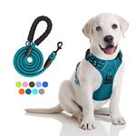 PoyPet No Pull Dog Harness and 5 Feet Leash Set, Release on Neck Reflective Adjustable Pet Vest, Front & Back 2 D-Ring and Soft Padded Pet Harness with Handle for Small to Large Dogs(Tumalo Teal,M)