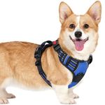 rabbitgoo Dog Harness Small Dog with Neck Release Buckle, Adjustable Anti Pull Dog Harness, Soft Padded with Front Back Clips and Easy Control Handle, Reflective Dog Vest Harness, Blue, S