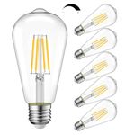 WTL Vintage Edison Light Bulb 6W(60 Watt Equivalent) 2700K Soft White,Dimmable,ST19（ST58） LED Filament Bulb,Clear Glass Light Bulb E26 Medium Base,600LM(6 Pack)