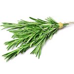 Fresh Rosemary