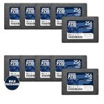 Patriot P210 SATA 3 256GB SSD 2.5 Inch Internal Solid State Drive Bulk Packaged 10 Pack - P210S256G2510B