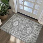 BEIMO 2x3 Area Rugs for Entryway Front Entrance Bathroom, Machine Washable Floor Cover, Small Print Vintage Boho Ultra-Thin Mat, Low Pile with Non Slip Rubber Backing