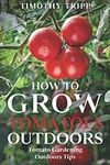 How to Grow Tomatoes Outdoors: Toma