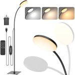 Mojimdo LED Floor Lamp with Remote,