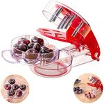 Hovome Cherry Pitter Stainless Steel Multiple Cherrystone Remover Tool Cherry Stoner Seed and Olive Tool Remover with Pit and Juice Container Cooking Utensils Kitchen Gadget