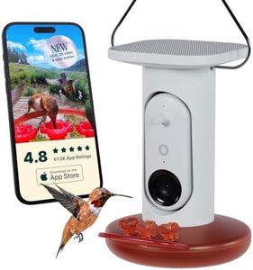Bird Buddy