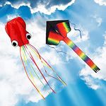 ZoomSky 2 Pack Kites - Large Rainbo