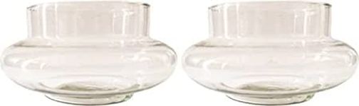 Flora solutios Beautiful Clear Transparent Bubble Bowl,RoseBowl Glass Vase, Decorating, Home Decor for Artificial Flowers Candy Jar/Money Plant/Lucky Bamboo Plant BowlSet of 2.