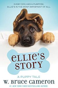 Ellie's St