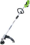 Greenworks 10 Amp 18-Inch Corded St