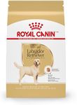 Royal Canin Labrador Retriever Adul