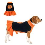 NACOCO Halloween Dog Sweater Dress - Pet Pumpkin Knitted Clothes Cat Sweatshirt Soft Thick Winter Warm Knitwear Outfits Apparel for Small Medium Large Dog Cat (Orange, L)