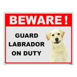 Clickforsign BOD-REF-BIGSB-7 Beware of Guard Dog Labrador On Duty Sign Board (300 x 225 mm)