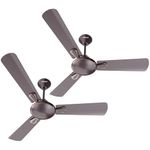 Havells 1200mm Festiva ES Ceiling Fan | Premium Finish, Decorative Fan, Elegant Looks, High Air Delivery, Energy Saving, 100% Pure Copper Motor | 2 Year Warranty | (Pack of 2, Espresso Brown) 1 Star