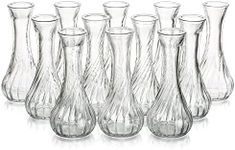 Glass Bud Vase for Flowers - Hewory