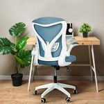 DROGO Premium Ergonomic Office Chair for Work from Home, High Back Computer Chair with Mesh, Flip-up Armrest, Recline, Adjustable Seat & Lumbar Support | Mesh Chair for Office (Teal)