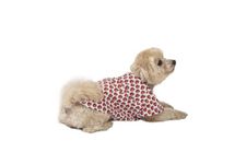 THE HOUSE OF PAWS Strawberry Printed Shirt Multicolor T-Shirt for Dogs and Cats (Size L)