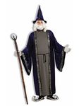 Forum Novelties Men's Wizard Adult Plus Size Costume, Purple, X-Large