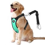 VavoPaw Dog Vehicle Safety Vest Harness, Adjustable Soft Padded Mesh Car Seat Belt Leash Harness with Travel Strap and Carabiner for Most Cars, Size Large, Lake Blue