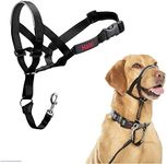 HALTI Headcollar - To Stop Your Dog