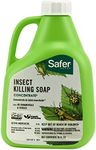 Safer 5118-6 Insect Killing Soap Concentrate - Insecticidal Soap for Plants - Kills Aphids, Whiteflies, Thrips, Spider Mites, and More - OMRI Listed for Organic Use